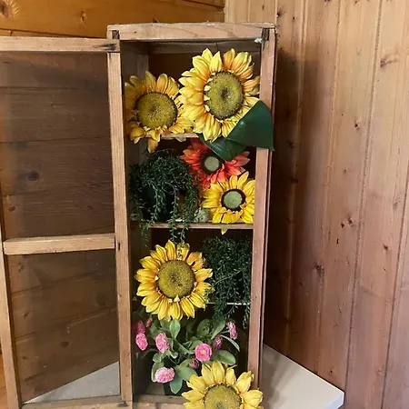 Der Kristall By Globalimmoservice * バド クラインキルヒハイム